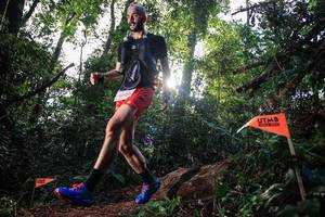 BIB: 5800
                            <button type="button" onclick="openModal(22639419)" class="btn btn-primary btn-sm float-right btn-popup" data-toggle="modal" data-target=".modal-high-quality">
                        <i class="fas fa-shopping-cart"></i> Add to Cart
                    </button>
                                            <button type="button" onclick="isThisMe(22639419, true)" class="btn btn-success btn-sm float-right btn-popup btn-isme hidden" data-toggle="tooltip" data-placement="bottom" title="นี่คือรูปของคุณใช่ไหม คลิกที่นี่เพื่อเอาเข้าอัลบั้ม">
                        <i class="fas fa-plus"></i> Add to album
                    </button>
                    <button type="button" onclick="isThisMe(22639419, false)" class="btn btn-warning btn-sm float-right btn-popup btn-isnotme hidden">
                        <i class="fas fa-ban"></i> Remove from album
                    </button>